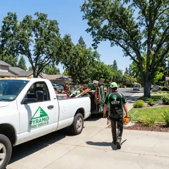 Arborist Action truck arriving at a DeLand residential job