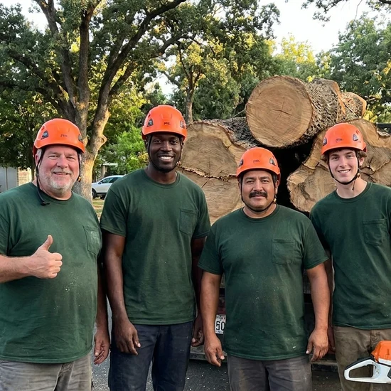 Arborist Action tree crew with a truck loaded with oak logs in DeLand