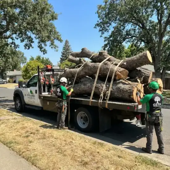 Tree service truck loaded with branches after a DeLand job